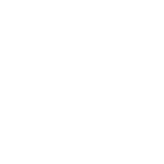 National Association of Latino Elected & Appointed Officials logo