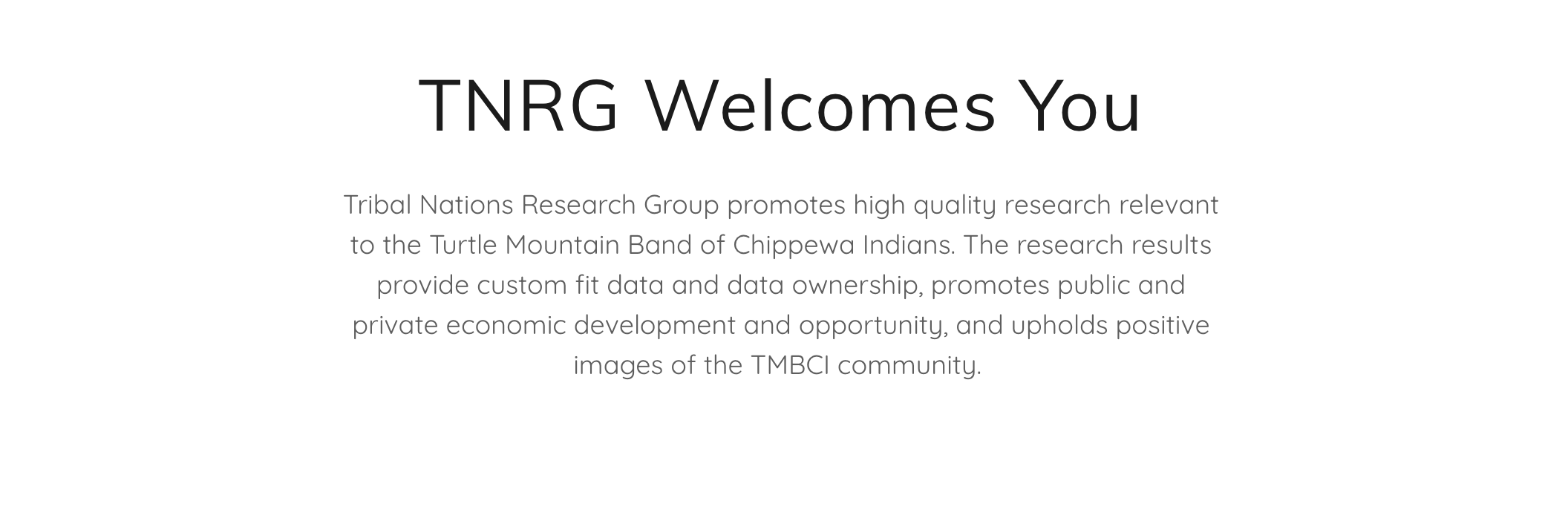 A screenshot of the TNRG website that reads 